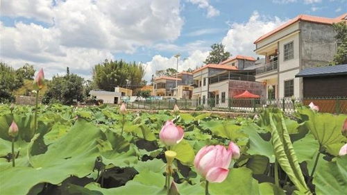 深圳第一新聞門戶網(wǎng)站