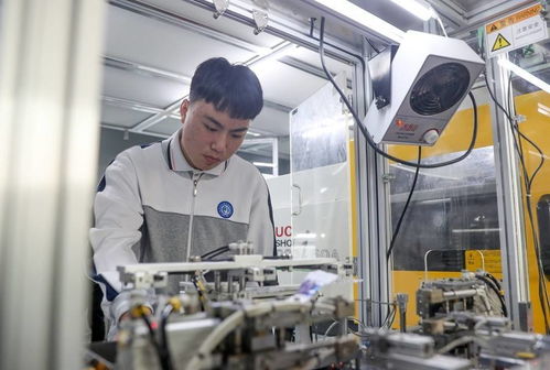 普高之外，多元選擇 職高并非終點，技術轉讓開啟新可能